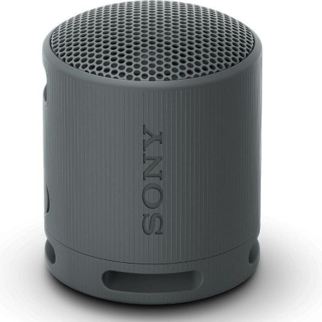 Altavoz portable con bluetooth sony xb100/ 2.0/ negro